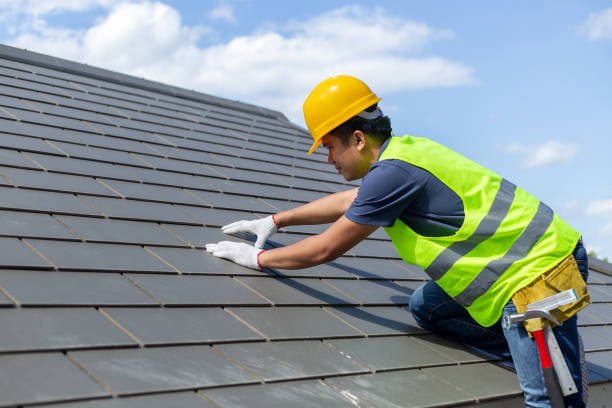 Roof Gutter Cleaning in Andrews, SC